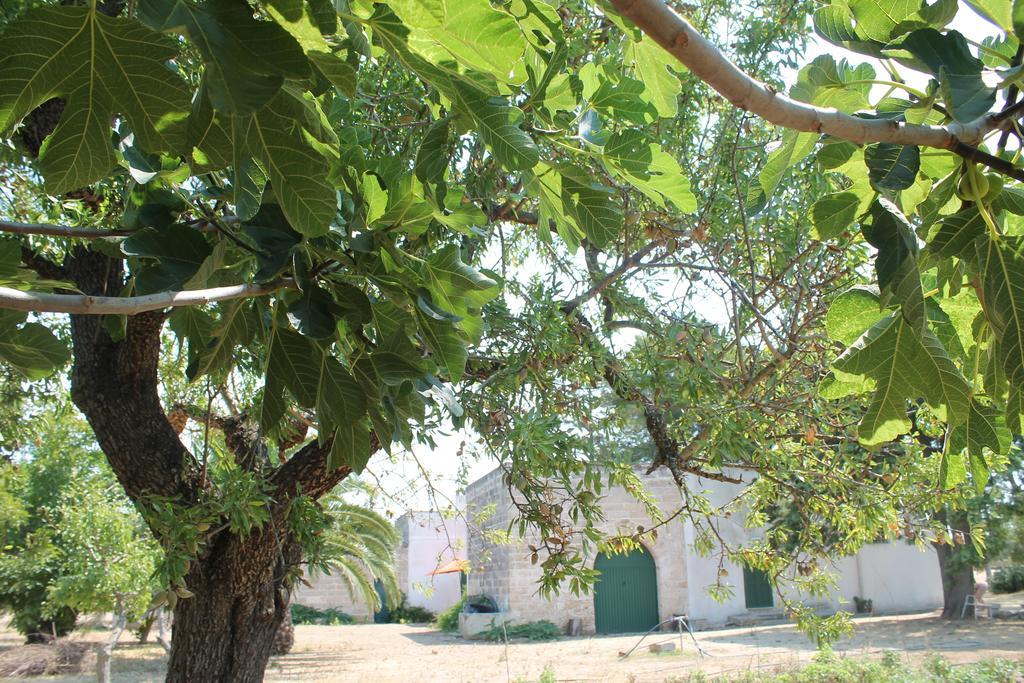 Masseria Vivi Il Salento Santa Caterina  Bilik gambar