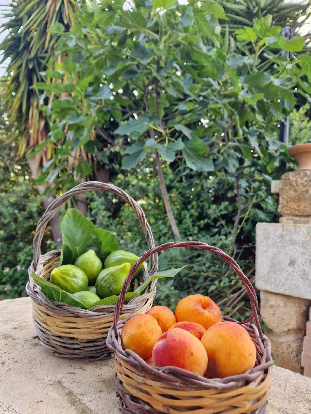 Masseria Vivi Il Salento Santa Caterina  Luaran gambar