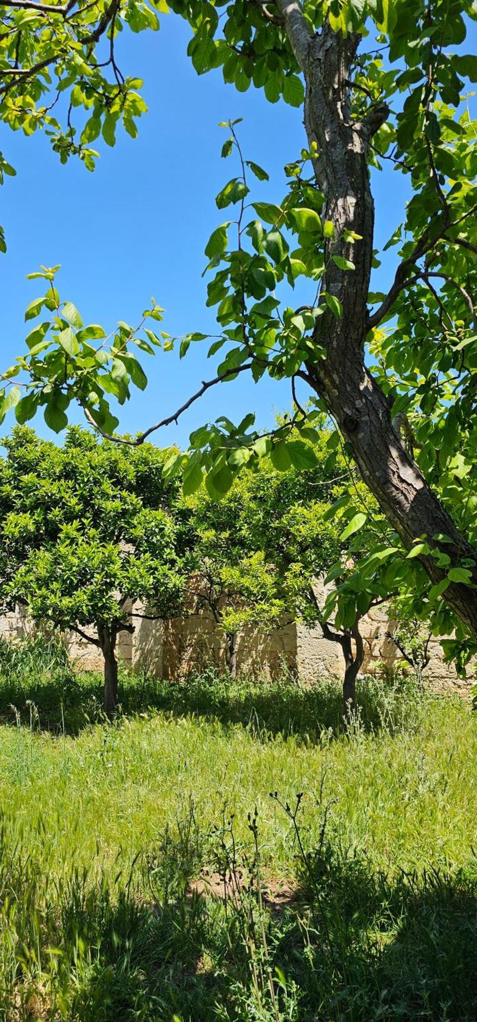 Masseria Vivi Il Salento Santa Caterina  Luaran gambar
